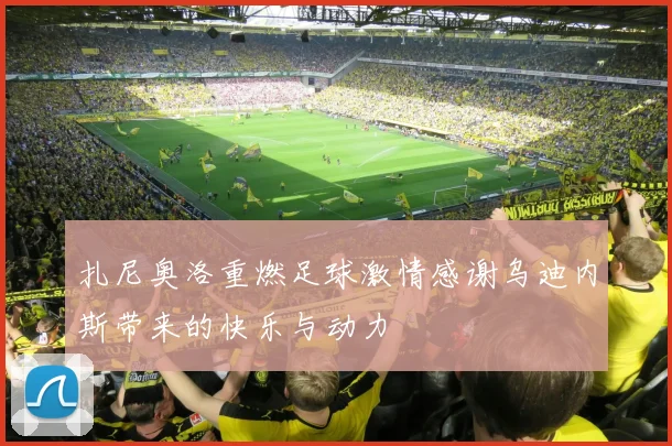 扎尼奥洛重燃足球激情感谢乌迪内斯带来的快乐与动力